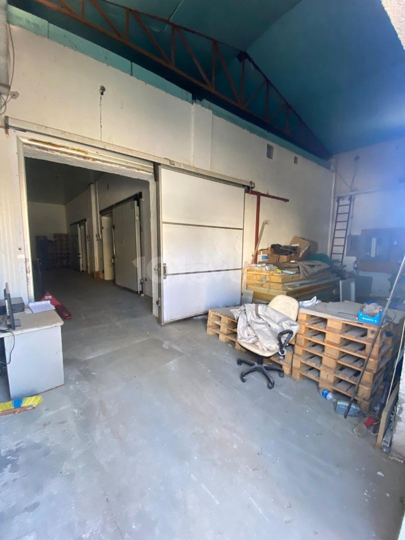 Cold Storage for Rent in Nicosia Industrial Zone