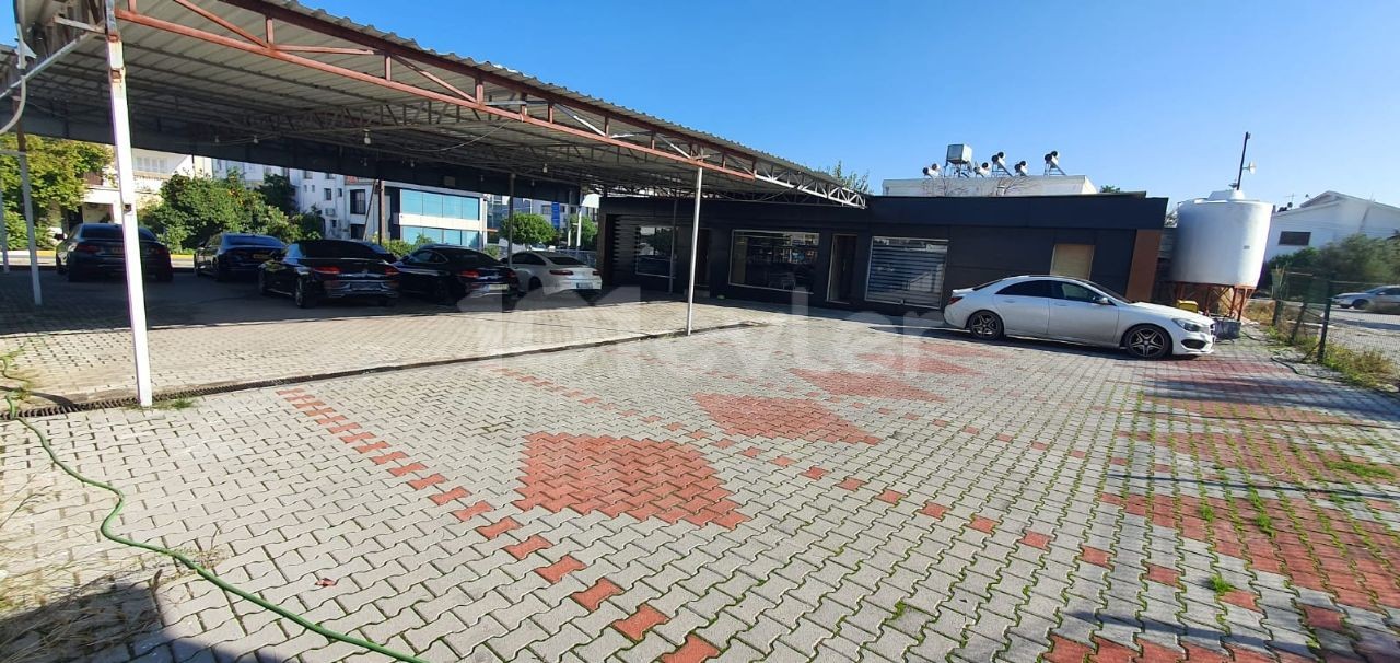 Galerie für untervermietete Autos von Karakum Lemar (Molto) in der Hauptstraße Ugur Mumcu Bulvari