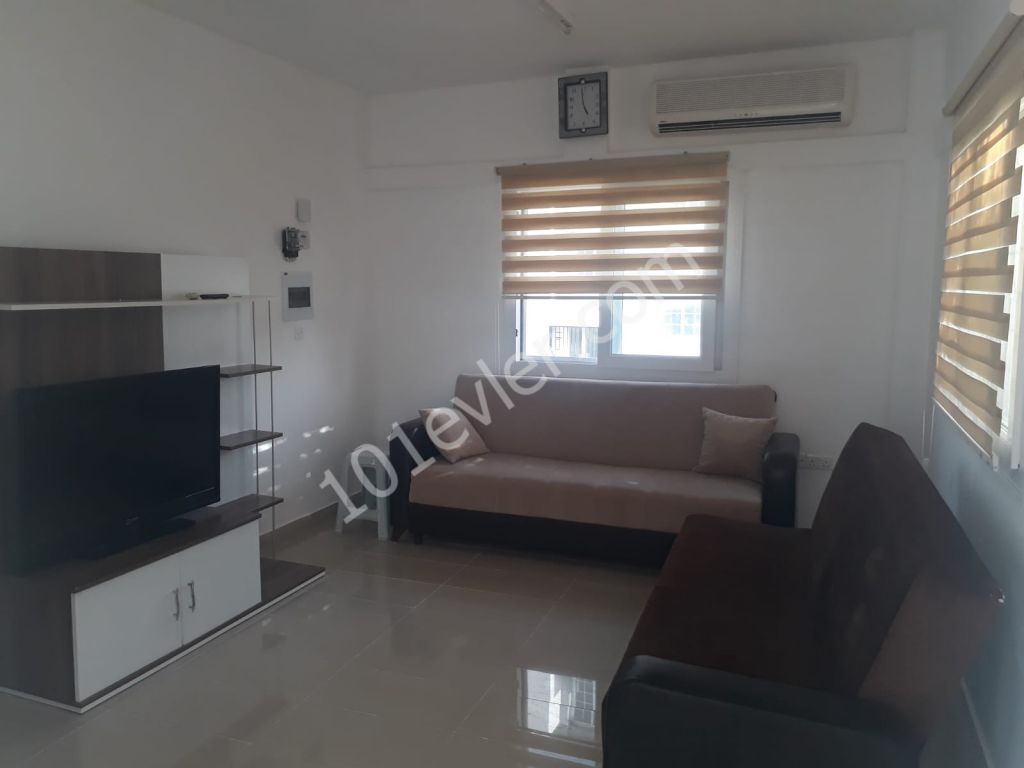 Furnished (2+1) Flat with Garden in Dikmen, 5 minutes from Near East University and 1 minute from the bus stop (+905338432139 - +905428616272)