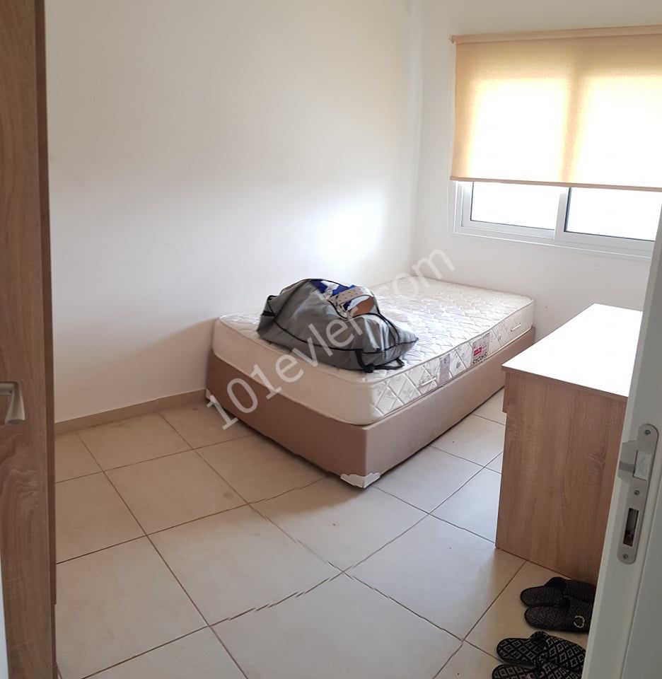 Flat To Rent in Hamitköy, Nicosia