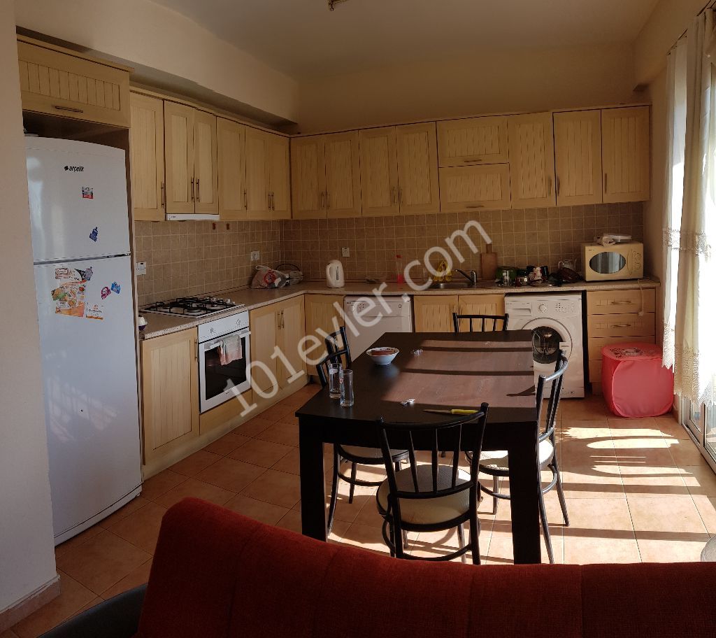 Flat To Rent in Hamitköy, Nicosia