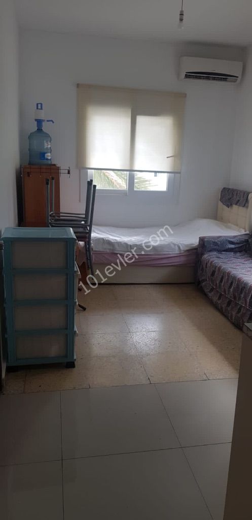 Hamitköy'de  Aylık Kiralık 1+0 Daireler