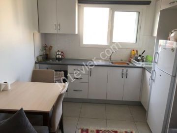 1+1 Fully Furnished Flat for Rent in Hamitköy at the bottom of the stops