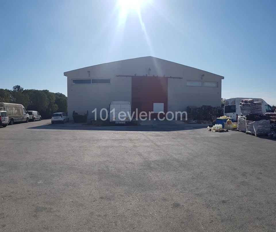 Rent in Cihangir and Warehouse