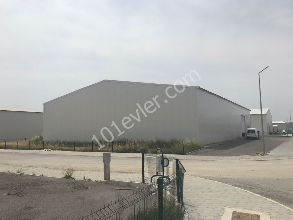 Warehouse For Sale in Haspolat, Nicosia