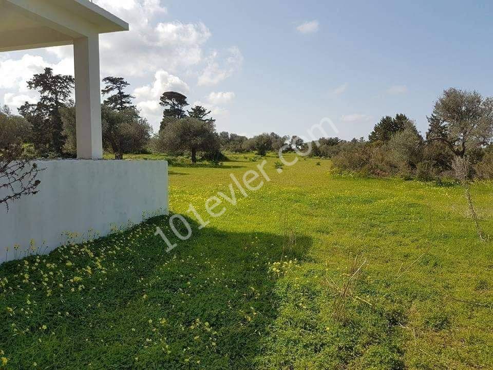 Land and Unfinished House In Yeni Erenkoy