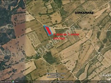 Field For Sale in Dipkarpaz, Iskele