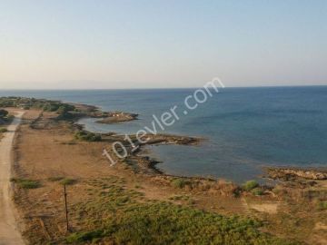 Akol Sea House 3+1 flat for rent 