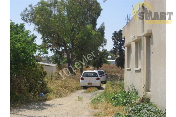 Shop For Sale in Çayırova, Iskele