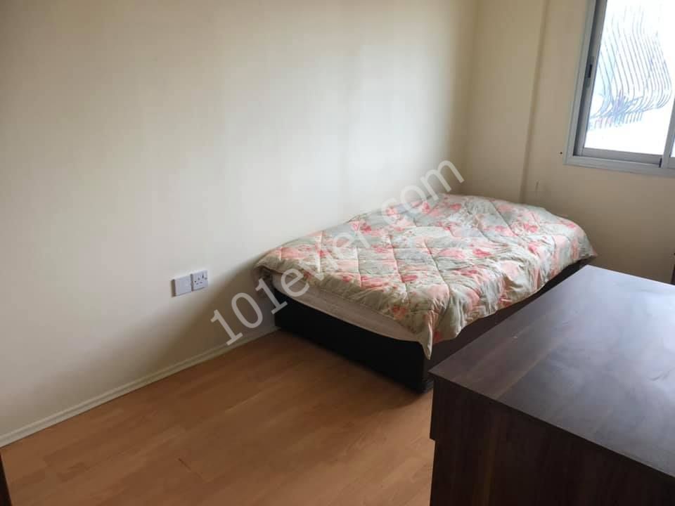 Flat To Rent in Hamitköy, Nicosia