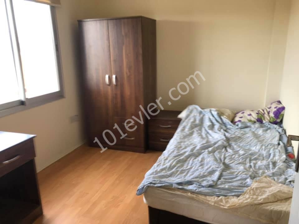 Flat To Rent in Hamitköy, Nicosia