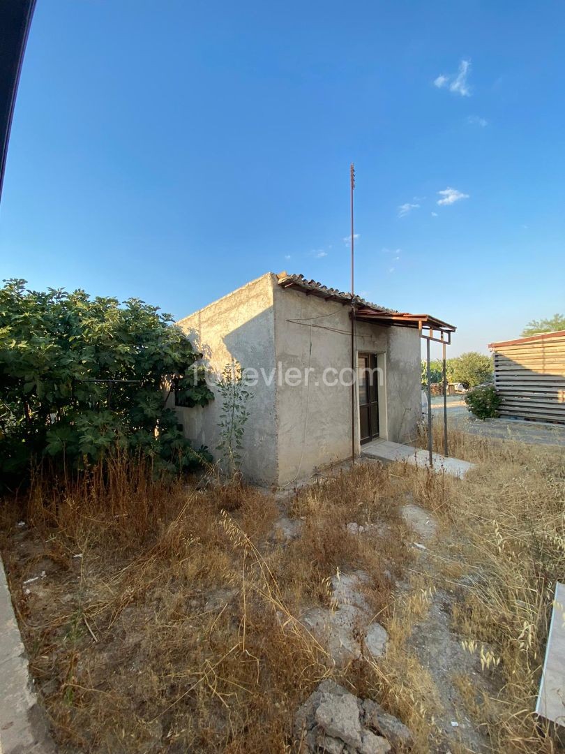 Villa To Rent in Dumlupınar, Nicosia