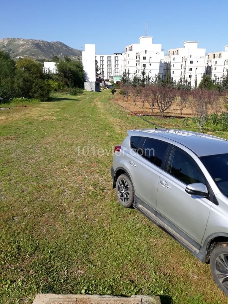 LEFKE UNIVERSITY AS WELL AS 10 ACRES OF LAND FOR SALE IN 3 HOUSES ** 