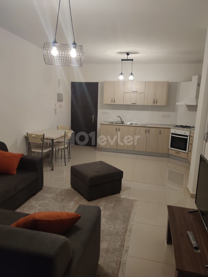 -2 +1 Fully Furnished Apartment in a Large Cellar Area with Miters. ** 