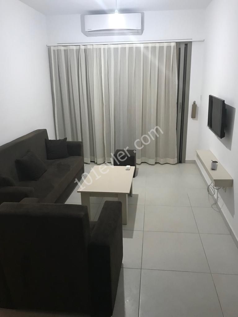 Lefkosa/Ortakoy new finished 2+1 fully furnished 2+1 flats . air con in every room