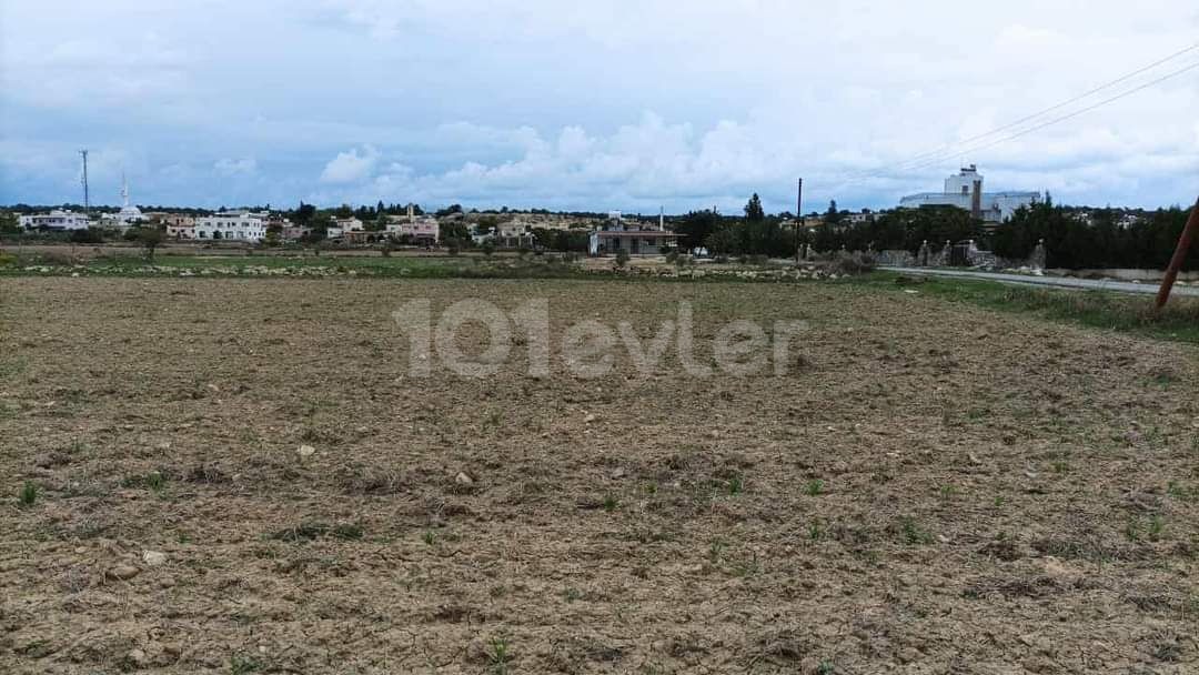 land zu verkaufen in bafra bay 