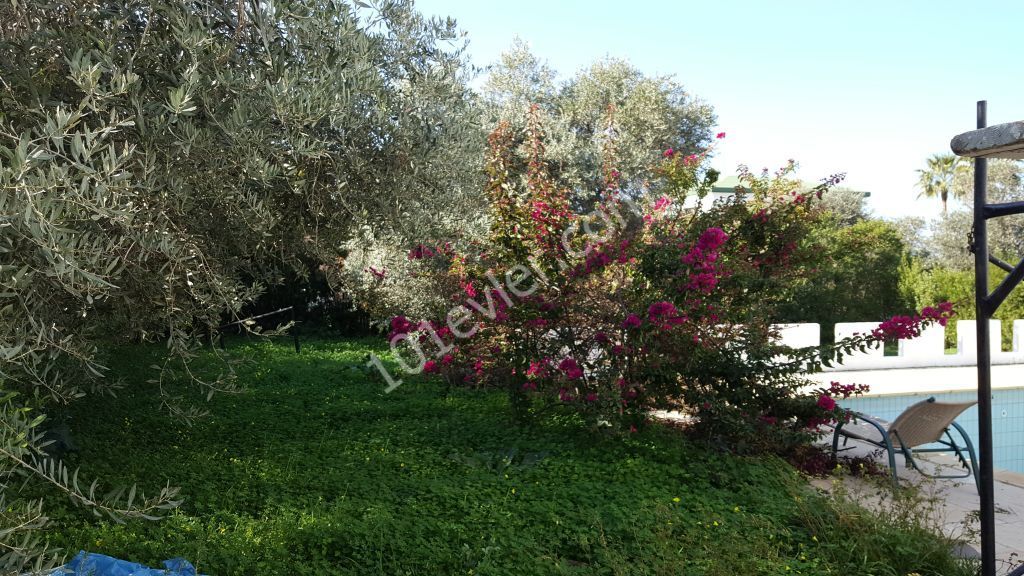 3 BEDROOM DETACHED HOUSE WITH PRIVATE POOL ON A PLOT OF 1000 M2 IN KYRENIA-ÇATALKOYDE SHAH MARKET AREA OF 145 M2. DECOUPLED HOUSE WITH PRIVATE POOL ON A PRIVATE PLOT OF 145 M2 IN KYRENIA-ÇATALKOYDE SHAH MARKET AREA.-FOR DETAILED INFORMATION AND ON-SITE VIEWING -05338334049-8886970. ** 