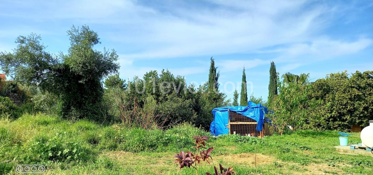 Girnenin en güzel bölgelerden biri MALATYA- İNCİ SU  bölgesinde önü kesilmez manzaralı 5 yatak odalı  villamız hakkında detaylı bilgiler ve yerinde görülmesi için 05338334049 a ulaşınız