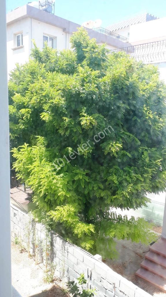 یک اپارتمان 3 خوابه با 3 بالکن با 2 حمام در مرکز گیرنه / بازار هوردنیز/خیابان برگشت/...برای کسب اطلاعات دقیق و مشاهده در محل:05338334049 ** 