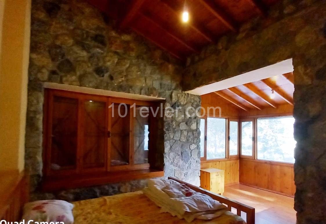 Don't you want a private life hidden right here....3 Bedroom stone house in elm. ** 