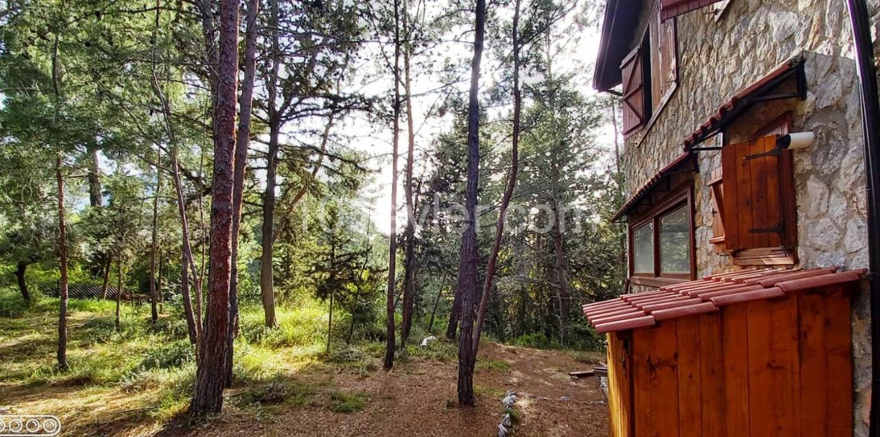 Sie wollen ein geheimes Privatleben, genau hier....Steinhaus mit 3 Schlafzimmern in Ulme. ** 