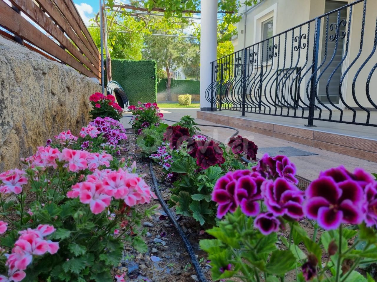 Girne-Çatalkoy  de özel havuzlu  Kusursuz eşyasız güzel villa.