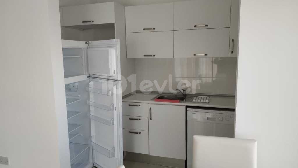 1+1 flat for rent in Kyrenia Doğanköy skyport residence (will be available in the first week of May.)