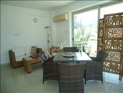 2+1 penthouse no commission nusmar area