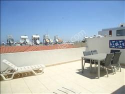 2+1 penthouse no commission nusmar area