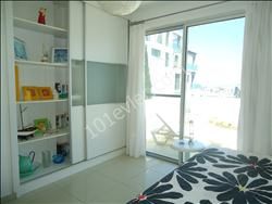 2+1 penthouse no commission nusmar area