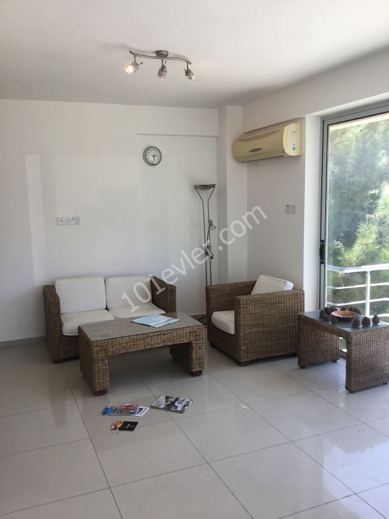 2+1 penthouse no commission nusmar area