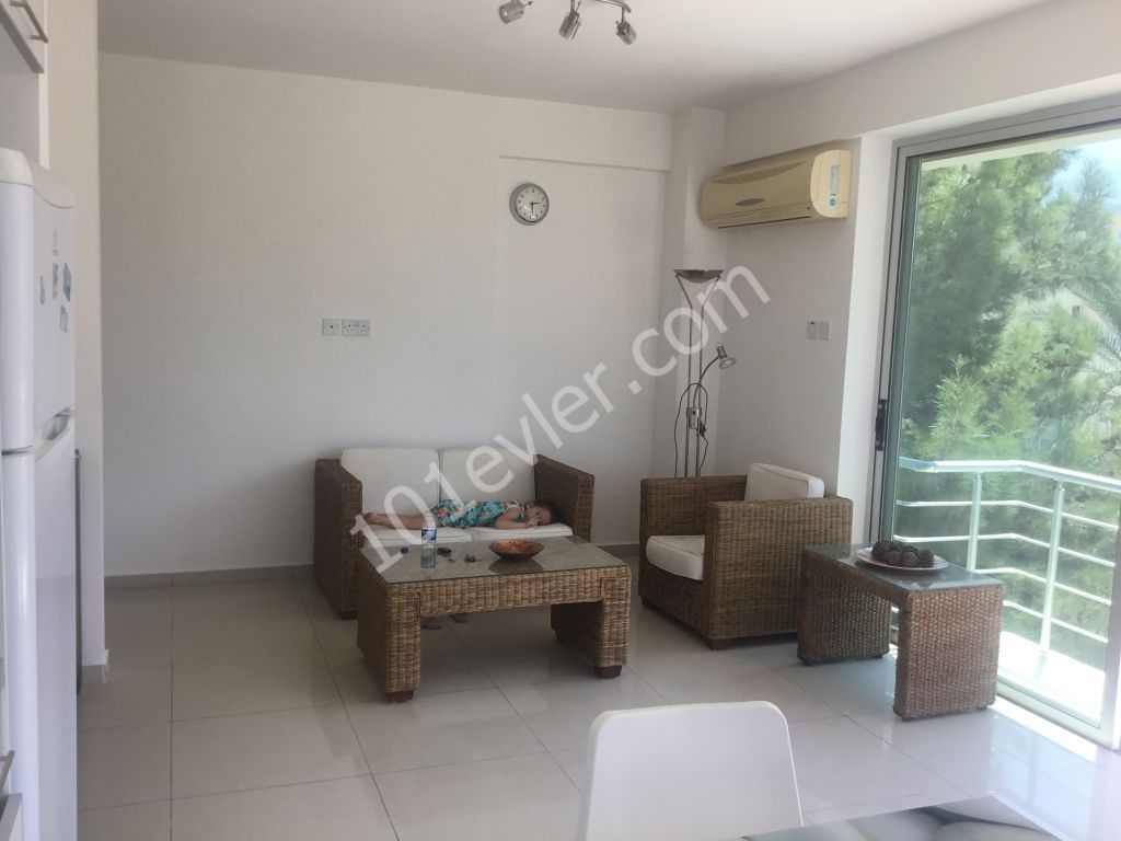 2+1 penthouse no commission nusmar area