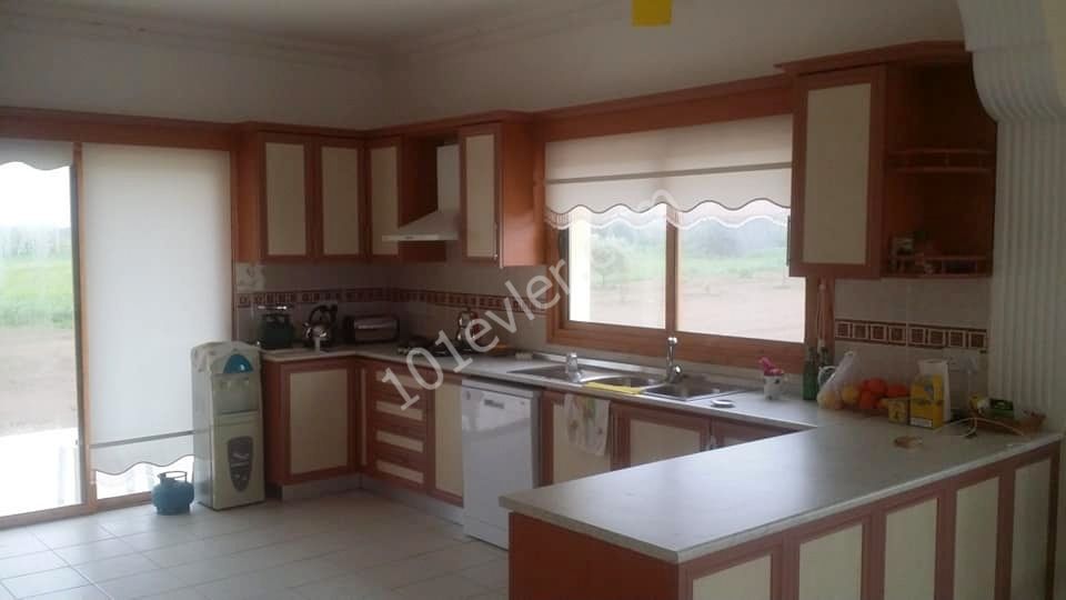 3+1 bedroom villa for sale in İSKELE ÖTÜKEN