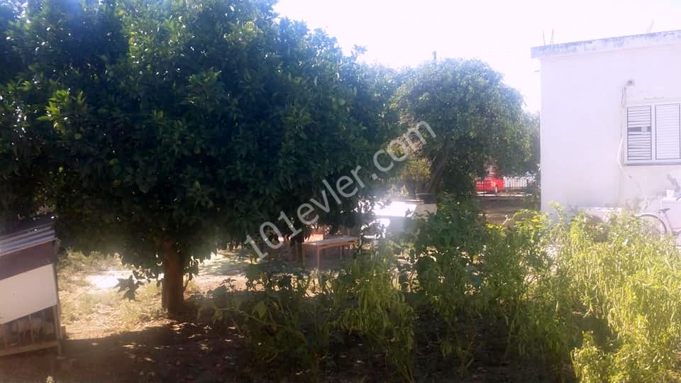 خانه مستقل برای فروش in Geçitkale, فاماگوستا