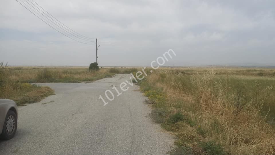 Residential Zoned Plot For Sale in Long Beach, Iskele