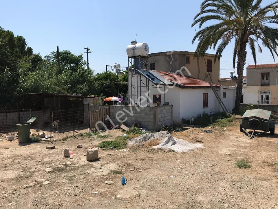 Detached House For Sale in İskele Merkez, Iskele