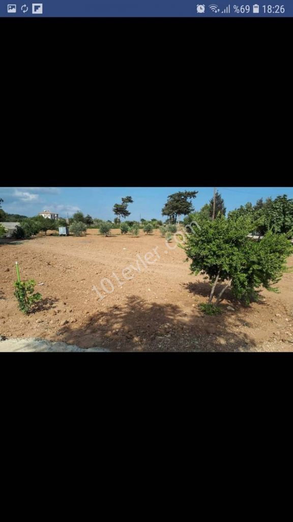 Einfamilienhaus Kaufen in Boltaşlı, Iskele