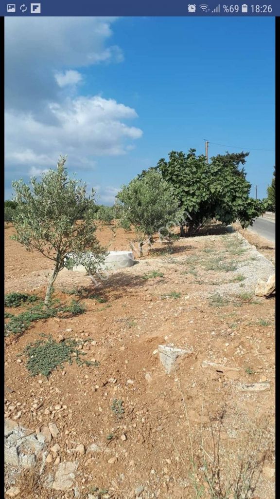 خانه مستقل برای فروش in Boltaşlı, ایسکله