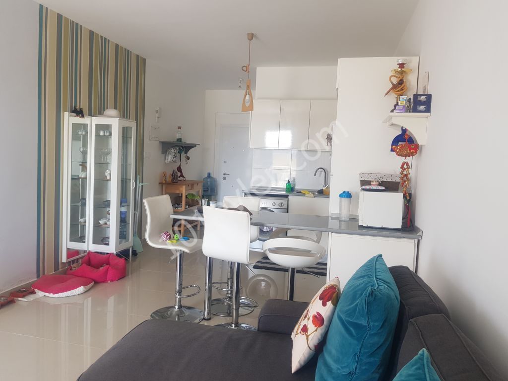 Flat For Sale in Long Beach, Iskele