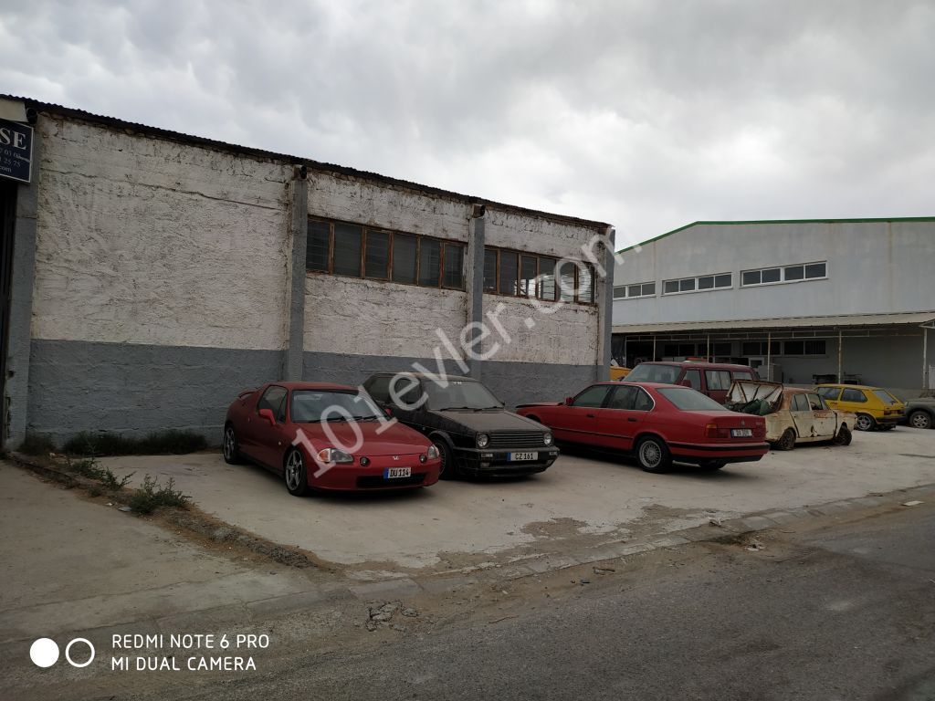 Business For Sale in Tuzla, Famagusta