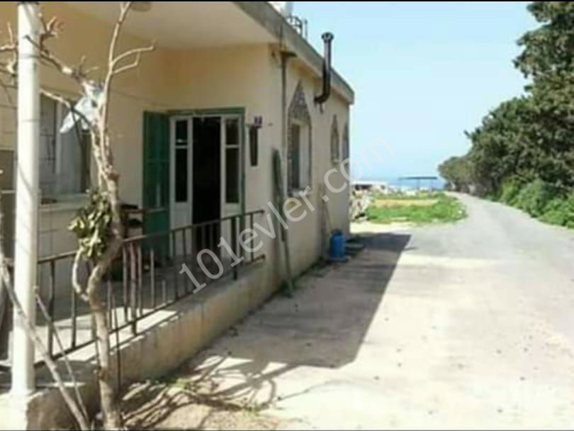 Detached House For Sale in Dipkarpaz, Iskele