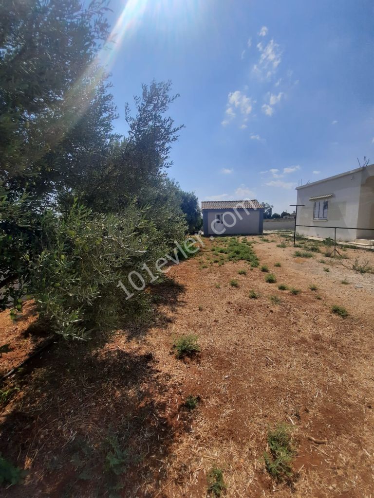 Decoupled house on a plot of 6 pieces in the center of the pier ** 