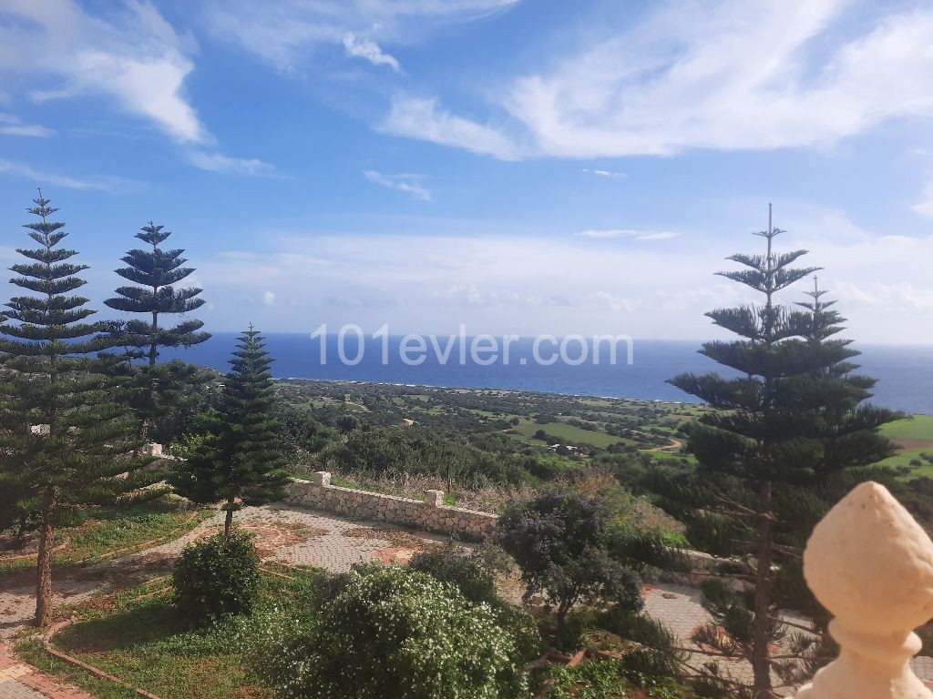 Villa To Rent in Taşlıca, Iskele