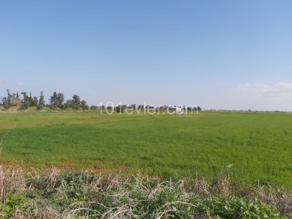 LAND FOR SALE THAT CAN BE INVESTED IN KUZUCUK VILLAGE ** 