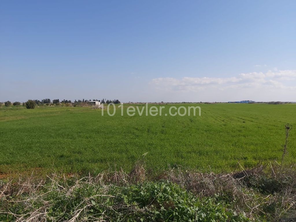 LAND FOR SALE THAT CAN BE INVESTED IN KUZUCUK VILLAGE ** 