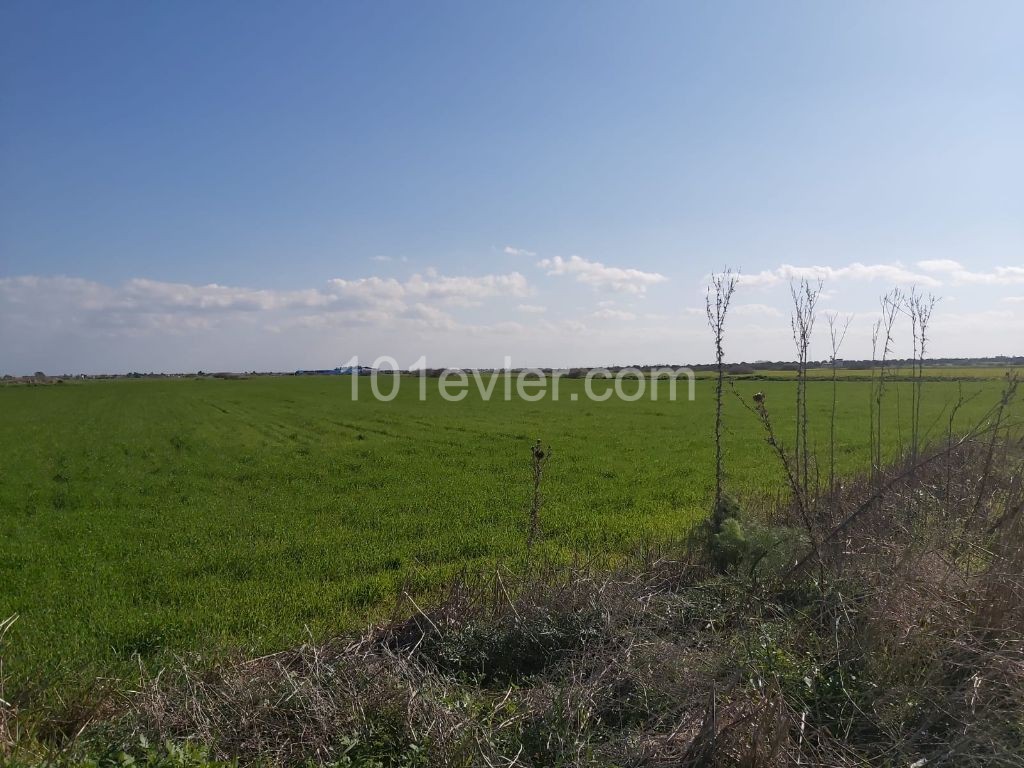 LAND FOR SALE THAT CAN BE INVESTED IN KUZUCUK VILLAGE ** 