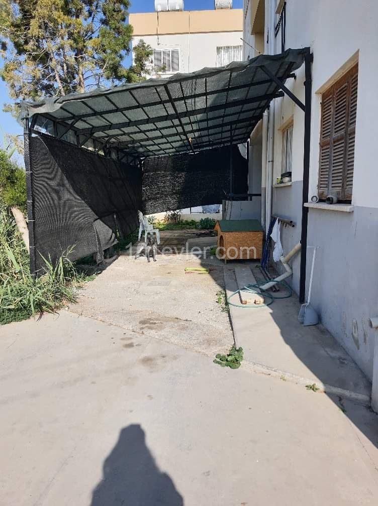 Flat To Rent in Tuzla, Famagusta