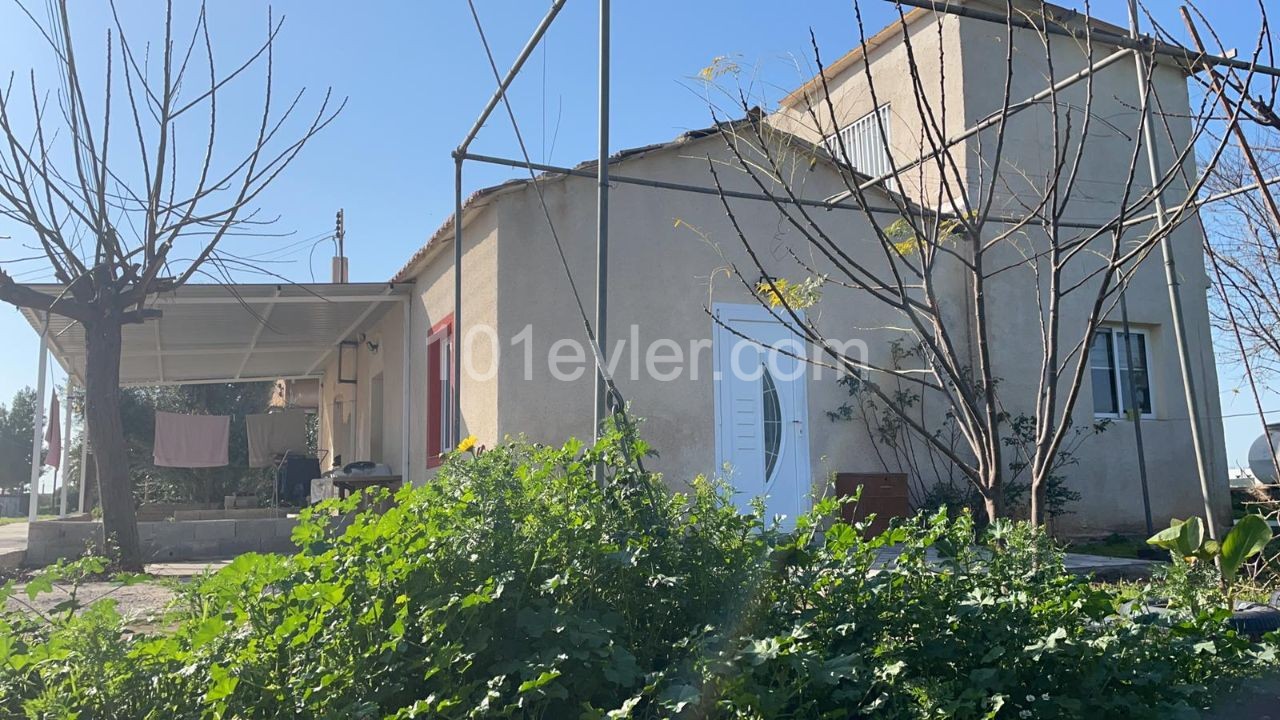 Detached House For Sale in Maraş, Famagusta