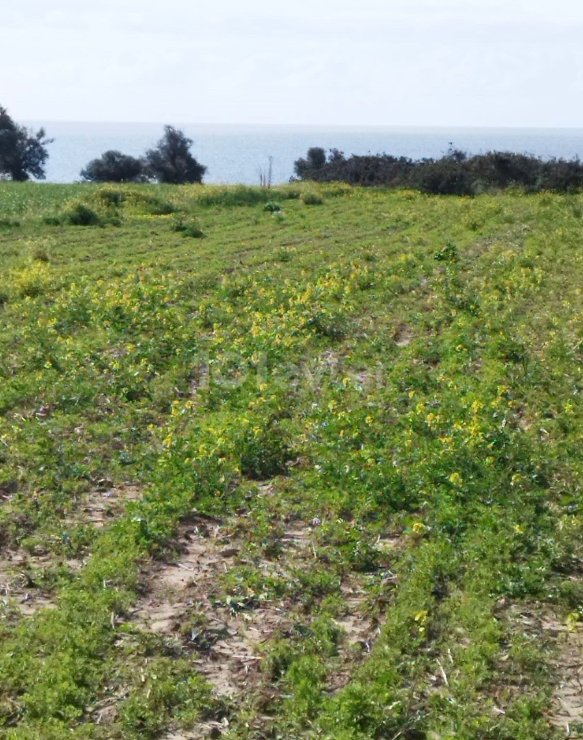 Land in Iskele Derince, 200 m away from the sea at an affordable price