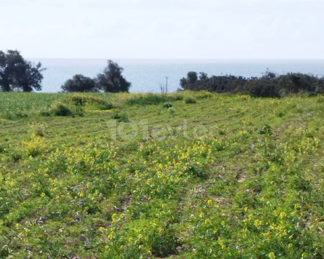 Land in Iskele Derince, 200 m away from the sea at an affordable price